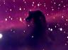 horse head Nebula.jpg